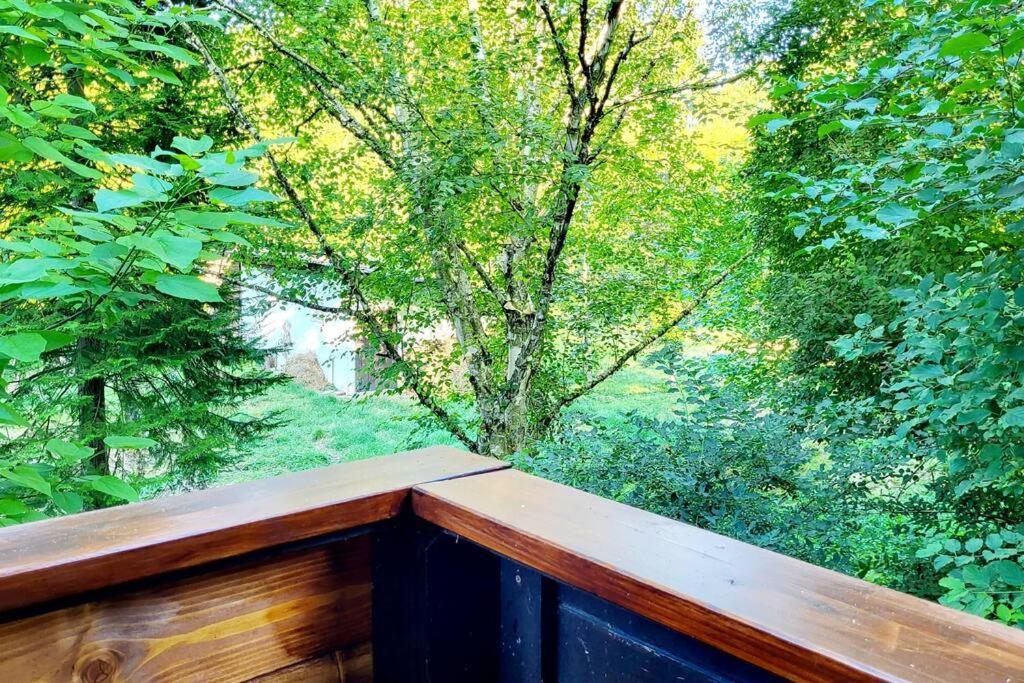 Colourful 2.5 Bedroom With Large Balcony & Garden. Prinzersdorf Exteriér fotografie
